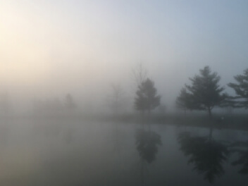 Foggy lake with trees