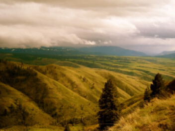 Clouds over grass rolling hills with trees